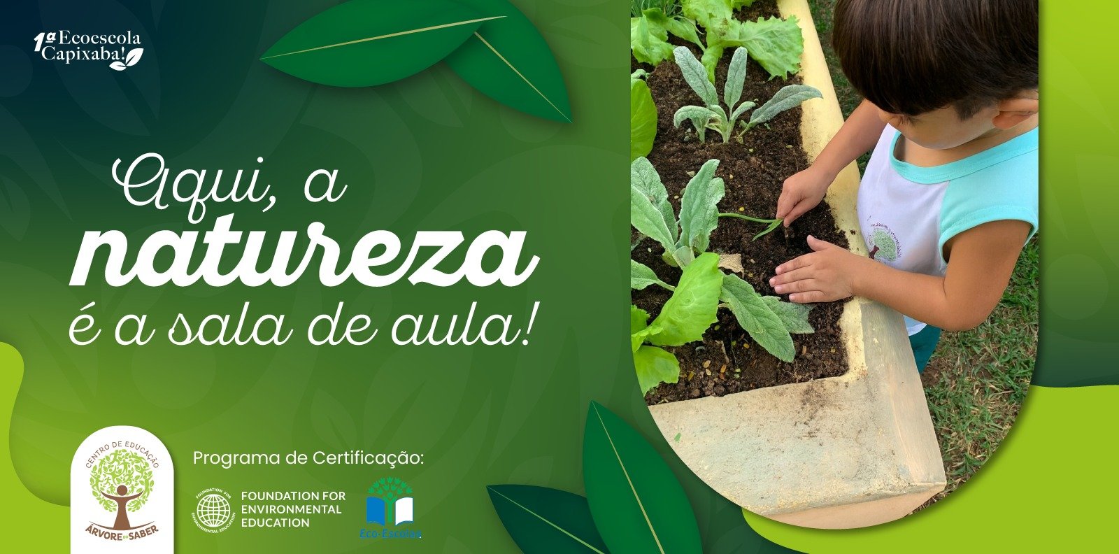 Banner Abertura - Ecoescola Árvore do Saber